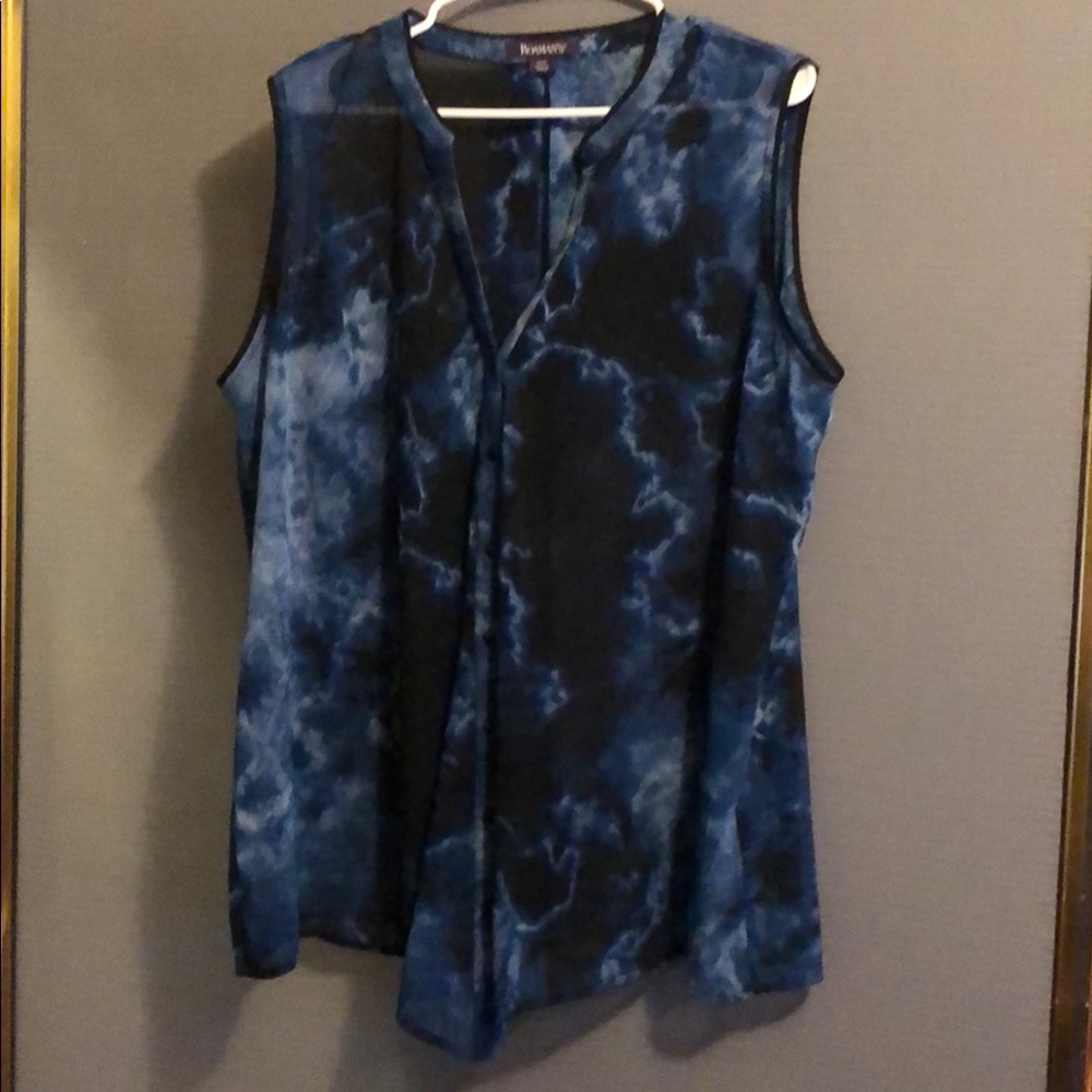 Sheer gorgeous sleeveless tunic
